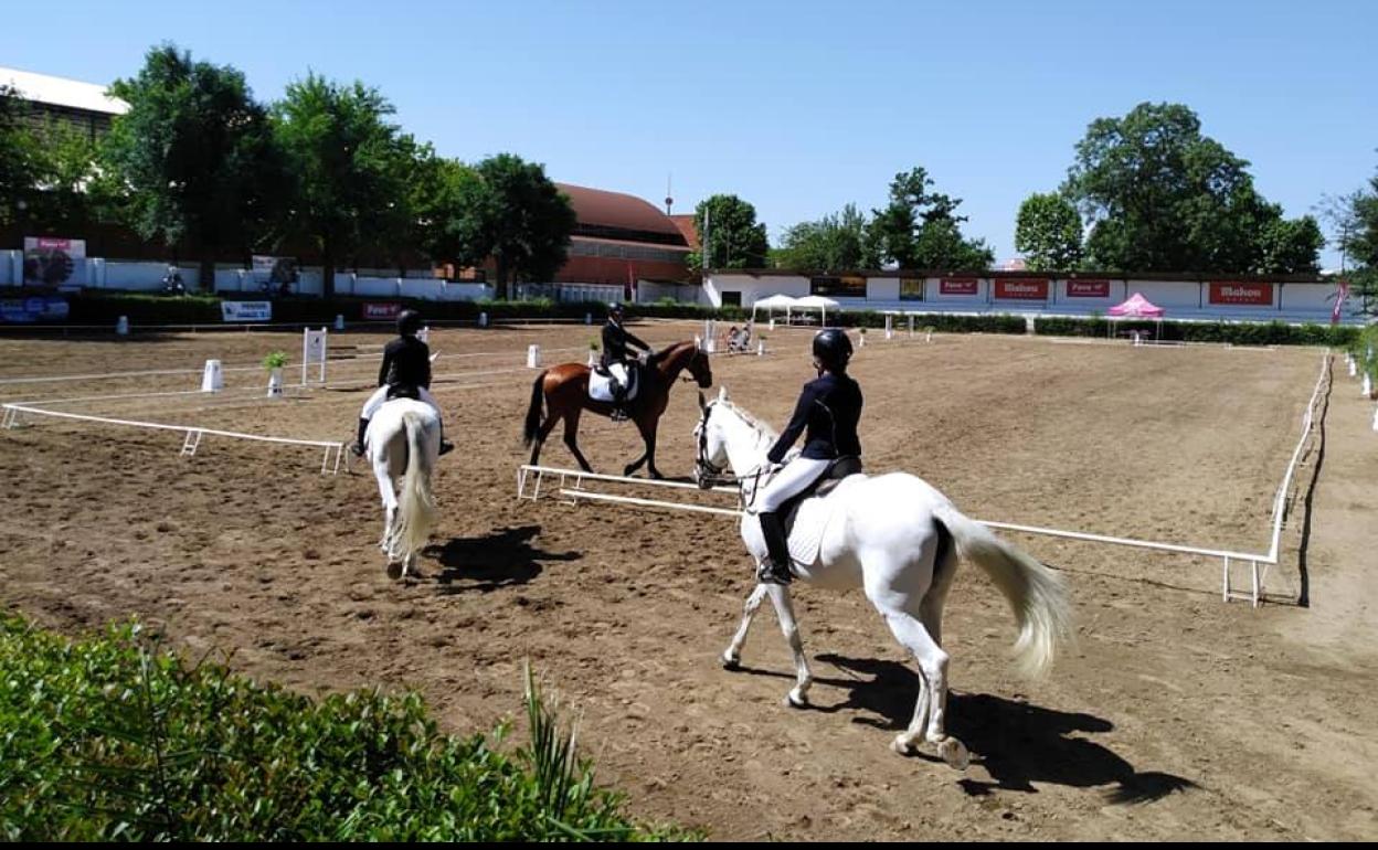 Los alumnos de la escuela de equitación ANCAPEDRO ofrecen este sábado un Carrusel Ecuestre en el recinto hípico
