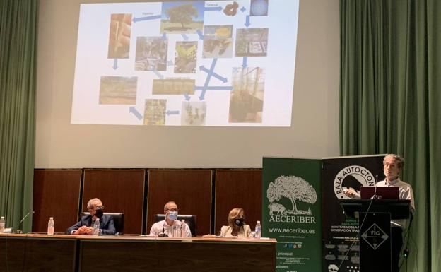 Un momenot de la jornada técnica de Aeceriber este miércoles 