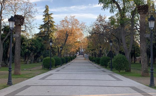 Muchas de las palmeras están en el Parque de La Paz 