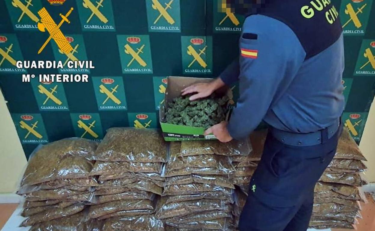La marihuana y el tacabo incautado 