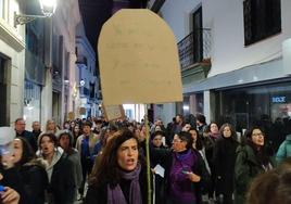 La maninfestiación a su paso por la calle Sevilla