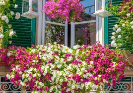 El CIT convoca su concurso de decoración de balcones y ventanas para esta primavera
