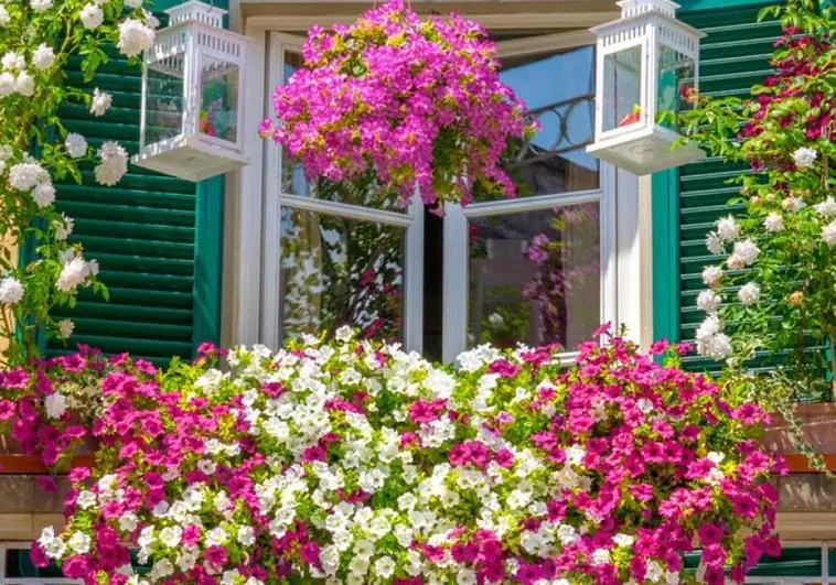 El CIT convoca su concurso de decoración de balcones y ventanas para esta primavera