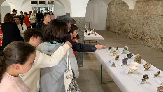 Una interesante exposición de minerales puede visitarse en la Sala Las Tenerías hasta el viernes