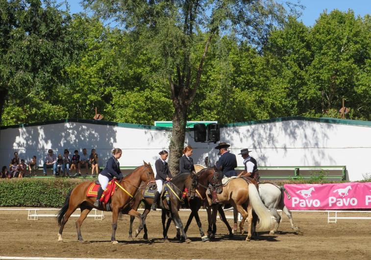 Los alumnos durante la exhibición