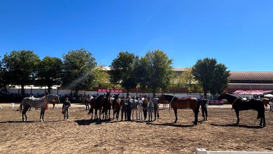 La Asociación Extremeña de Caballos de Pura Raza Española entrega los premios de su XXXIV Concurso Morfológico