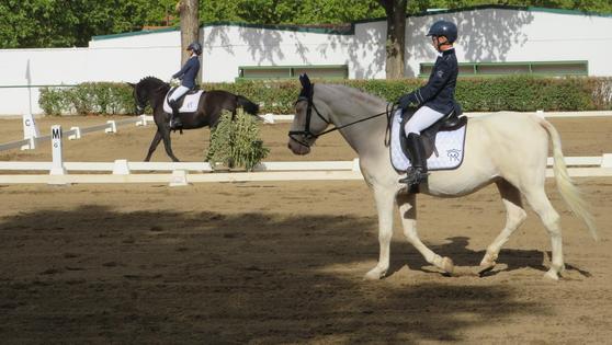 Unos 80 jinetes y amazonas se dieron cita en el Campeonato de Extremadura de Doma Clásica