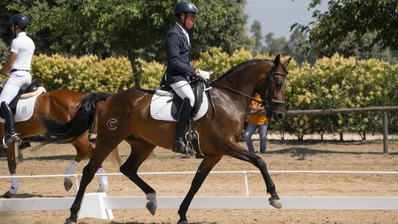 Juan Manuel Pinto se proclama campeón de Extremadura de Doma Clásica
