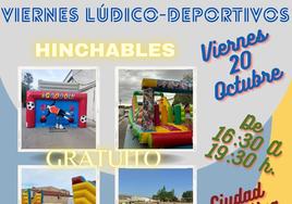 Cartel de la actividad