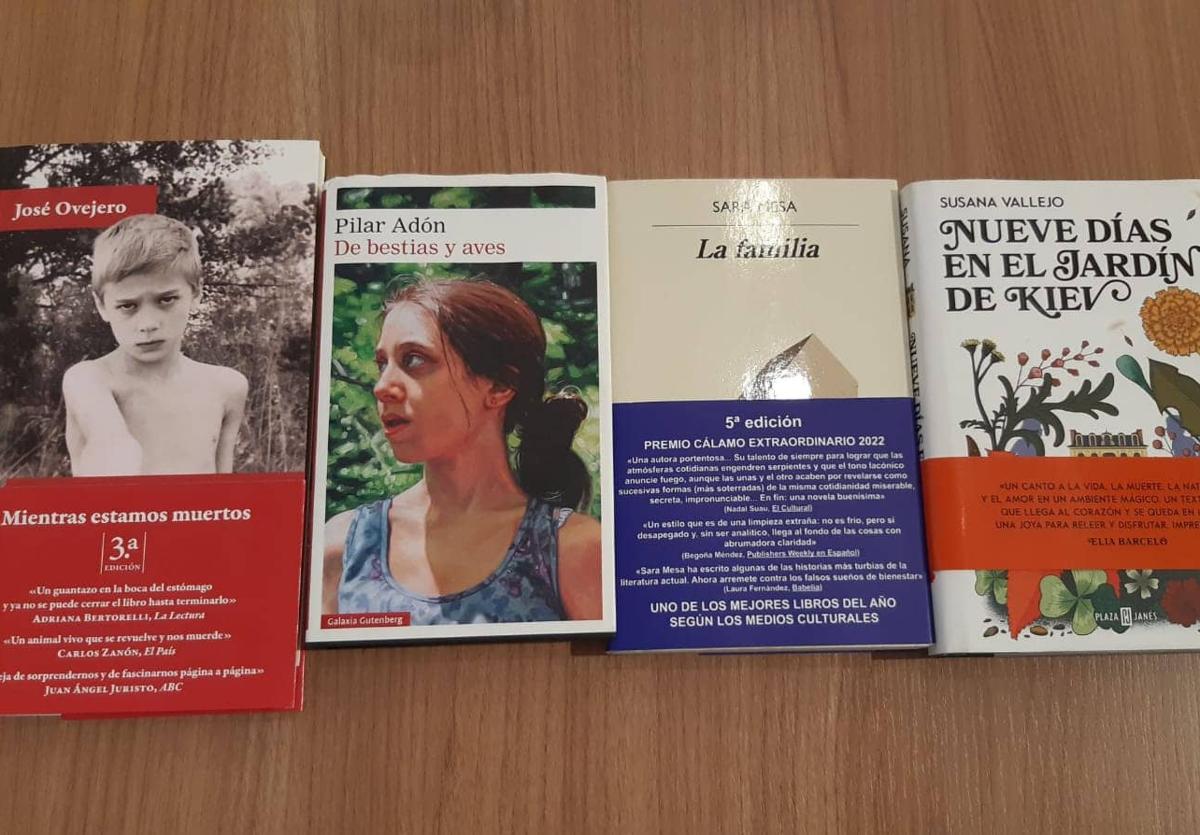 Este sábado se conocerá la novela ganadora del XVIII Premio Dulce Chacón de Narrativa Española