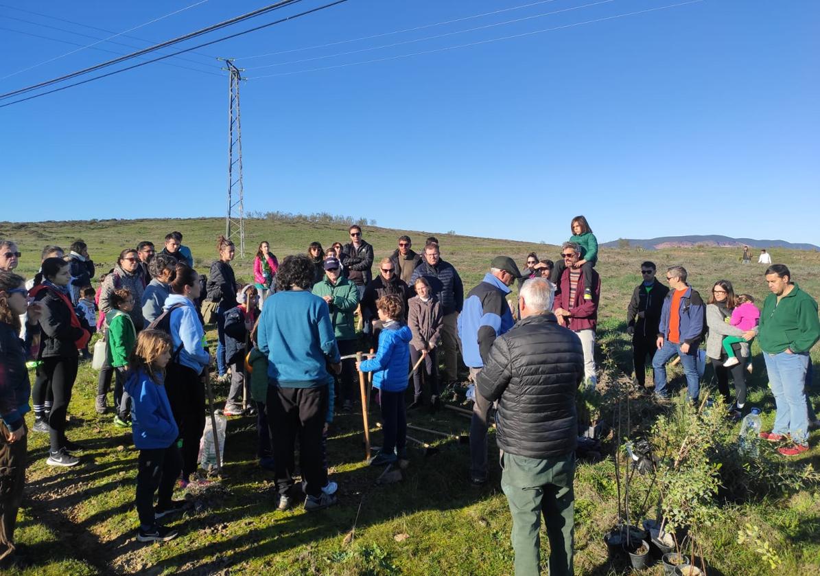 Los participantes en la plantación de árboles