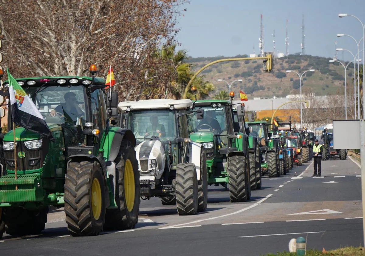 La protesta de los agricultores y ganaderos llega a Zafra con una caravana de tractores