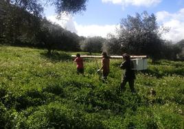 TRes de los miembros de la asociación durante la instalación de las cajas nido