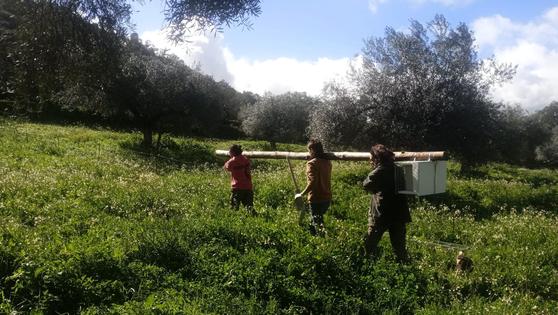 Ecologistas en Acción Zafra llevó a cabo la instalación de varias cajas nido