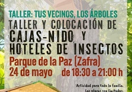 Cartel de la actividad