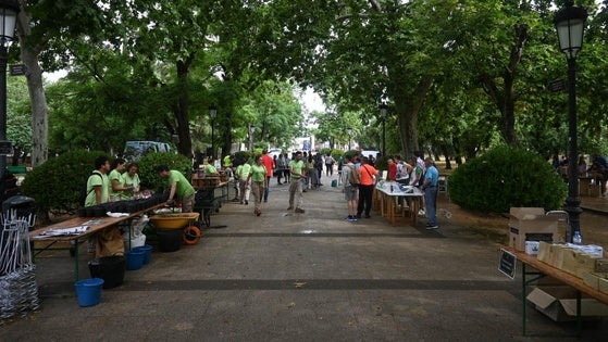 El Día del Medio ambiente se celebró en el Parque de la Paz