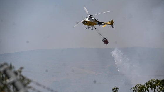 Controlado el incendio forestal declarado en Zafra