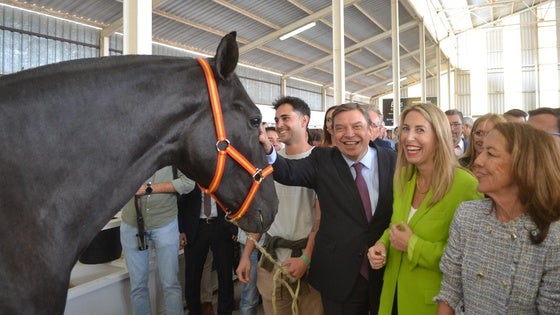 ¡Ven a la Feria de Zafra aunque tenga poco ganado...!