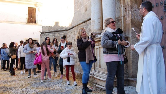 Unas 50 mascotas han sido bendecidas por San Antón, patrón de los animales