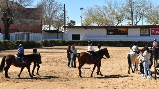 Los más pequeños se acercaron al mundo del caballo con talleres solidarios en el recinto hípico