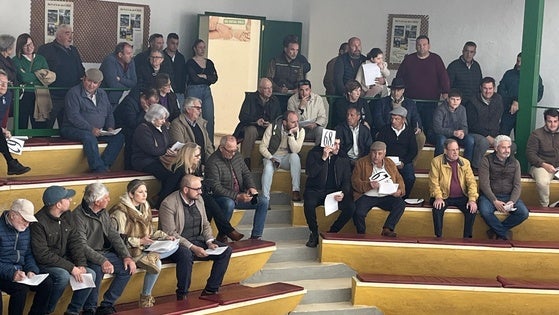El remate de las subastas de ovino ha ascendido a 45.600 euros