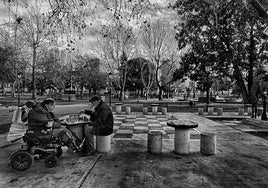 Fotografía ganadora del concurso