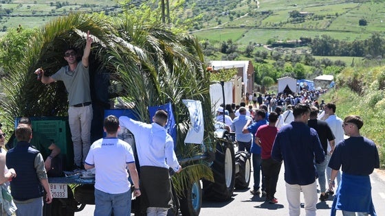 Una veintena de carrozas recorrieron 'El Camino' hasta la ermita de Belén