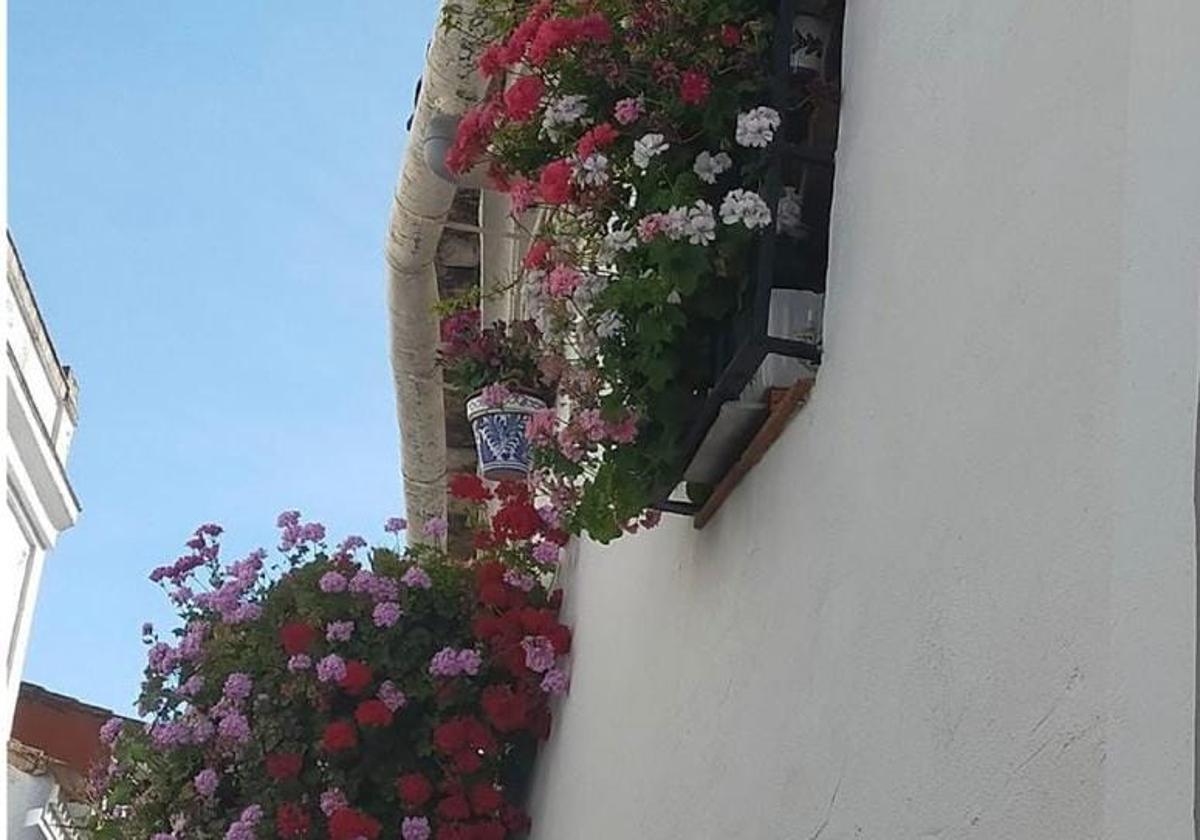 Uno de los balcones ganadores en una edición anterior del certamen