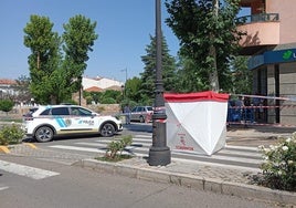 Zona en la que ha tenido lugar el suceso