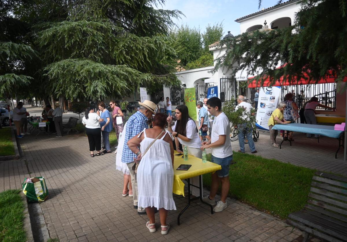 Celebración de las distintas actividades