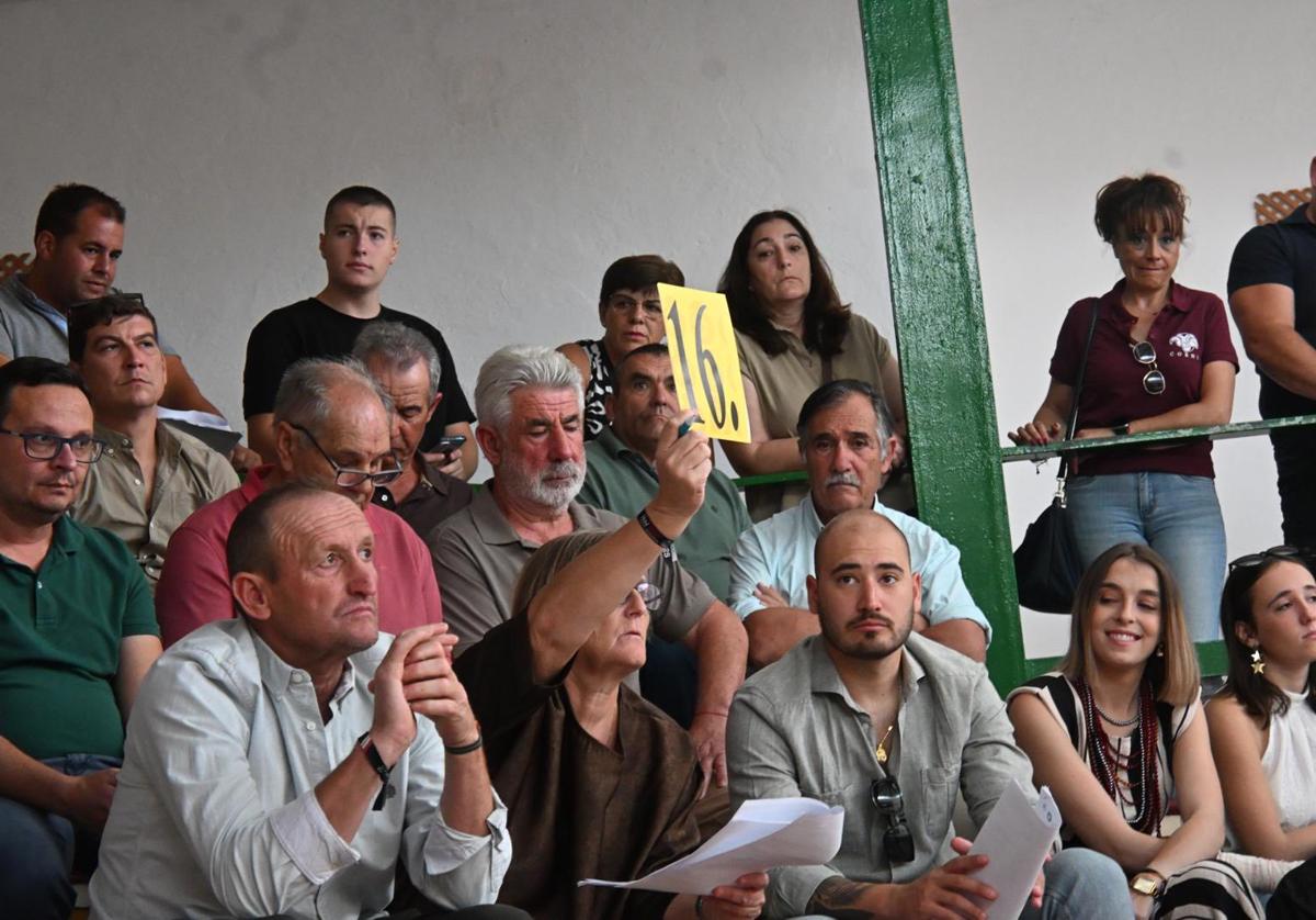 Las subastas de merino