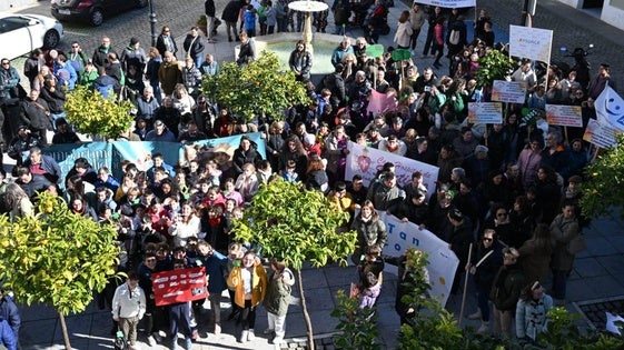 Una marea de solidaridad llena las calles por la inclusión real de las personas con discapacidad