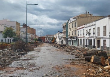 Estado de la calle tras la tala de árboles