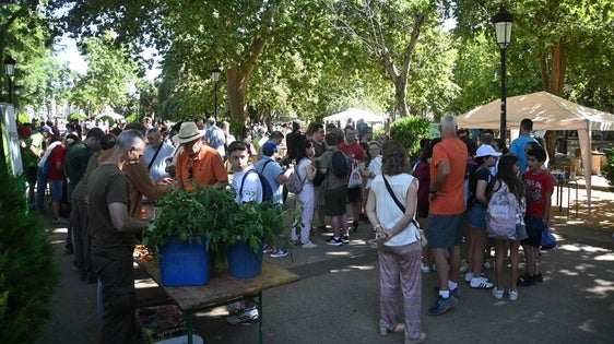 Unos 260 participantes conmemoraron el Día Mundial del Medio Ambiente