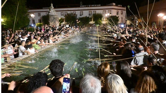 Momento de la 'mojá' de varas