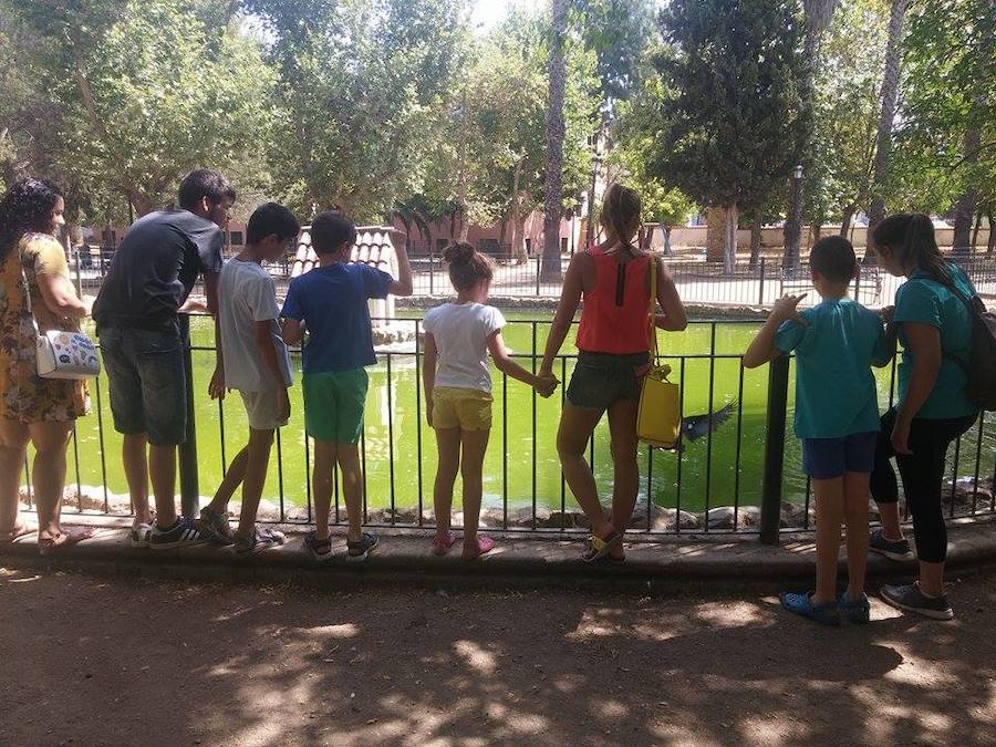 Salida de la Escuela de Verano: