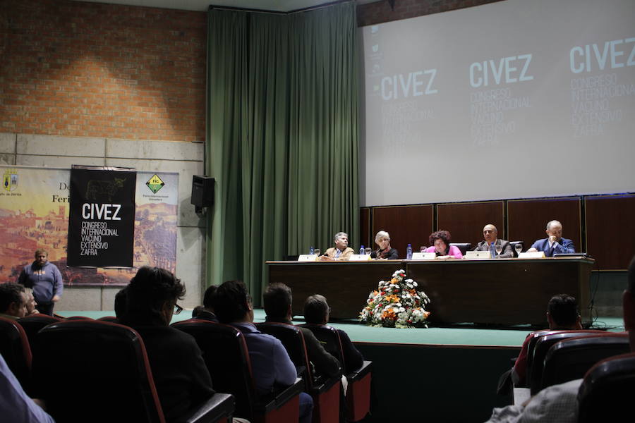 Mesa inaugural CIVEZ 
