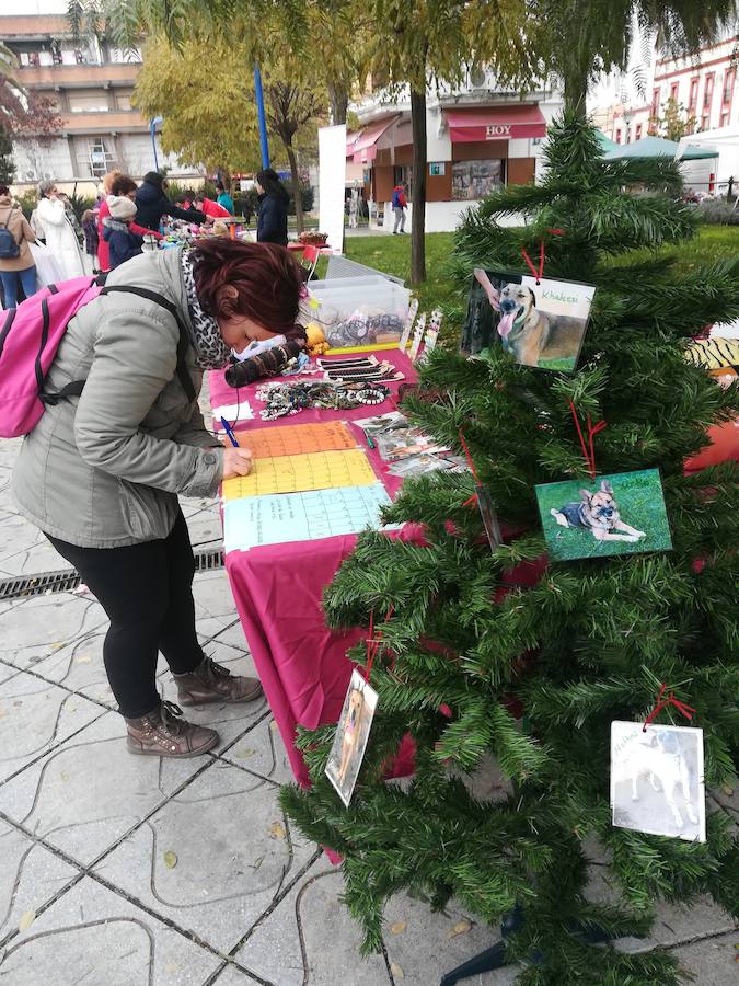 La asociación en el Merkajoven 