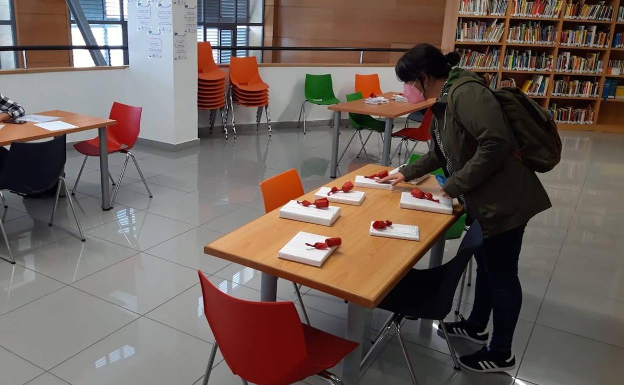 La Biblioteca aprovecha el Día del Libro para difundir los valores de la lectura