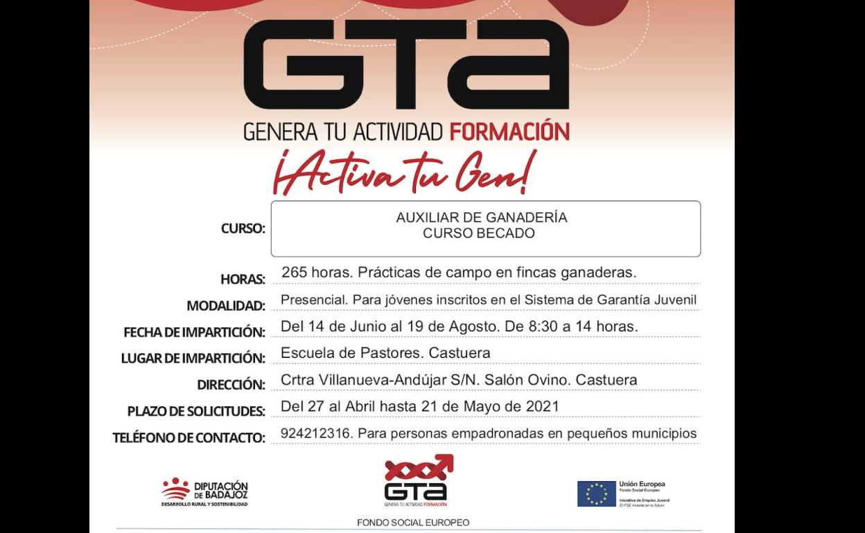 Cartel Curso GTA 