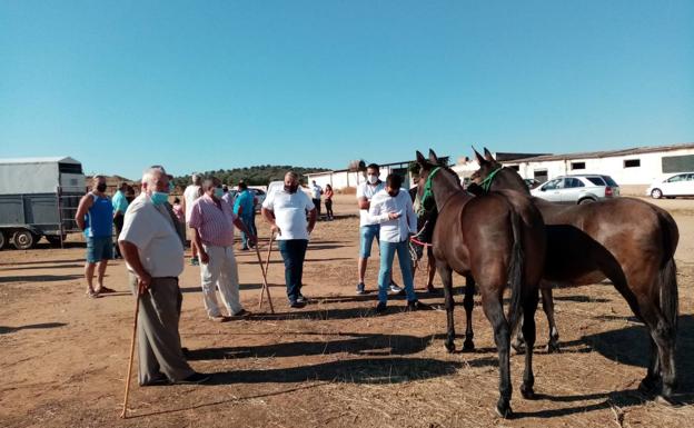 Tradicional Rodeo en la Peñalengua 