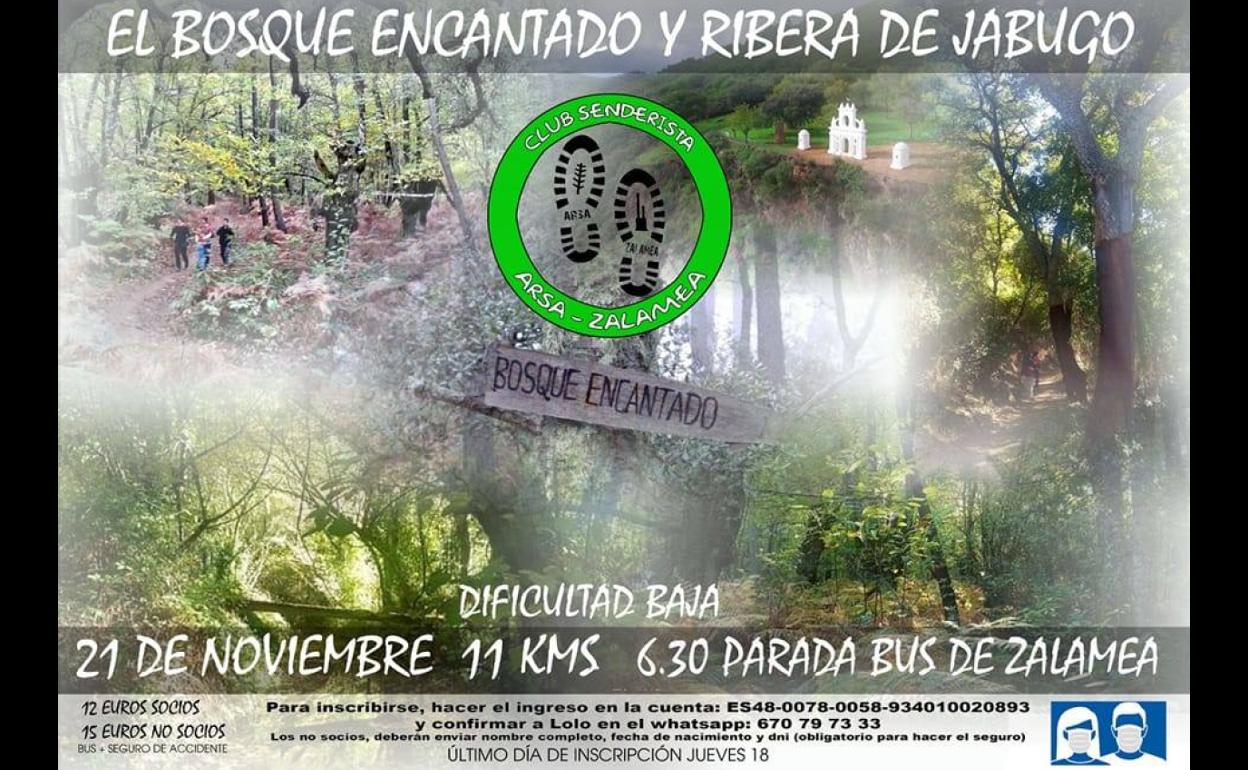 Ruta senderista a 'El Bosque Encantado y Ribera del Jabugo' 