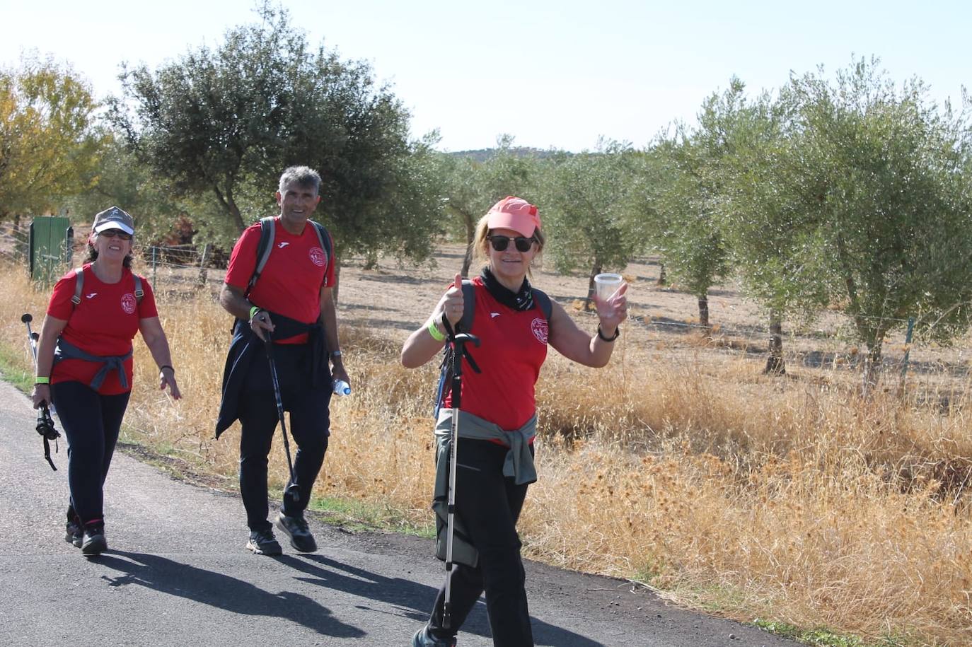 VIII edición de la 'Ruta de los Tartesos. Patrimonio de Zalamea'