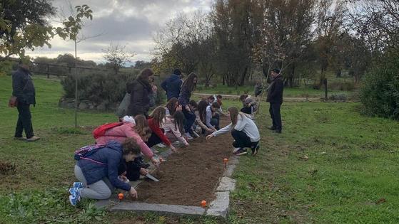 Alumnos de 6 centros de la comarca han participado en las jornadas educativas en Cancho Roano