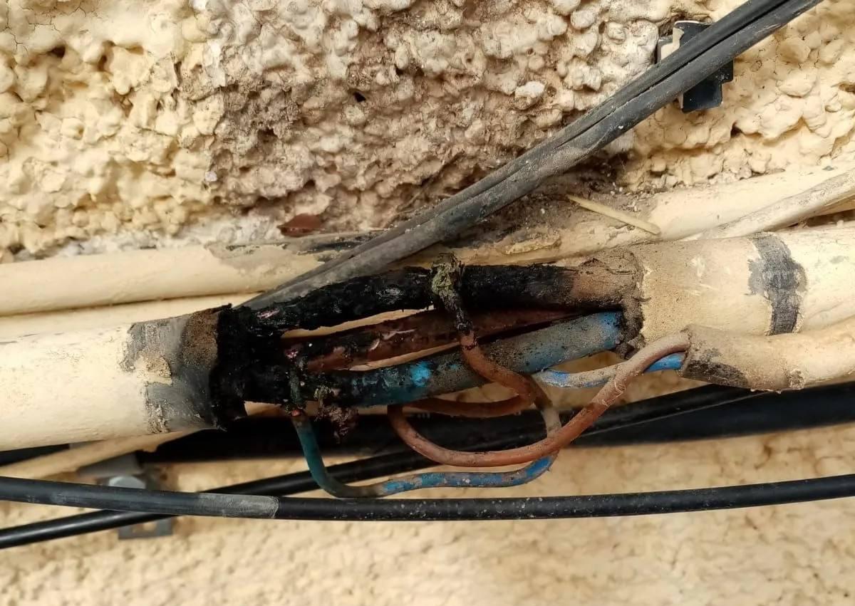 Imagen secundaria 1 - Estado de la instalción tras la retirada del panal.