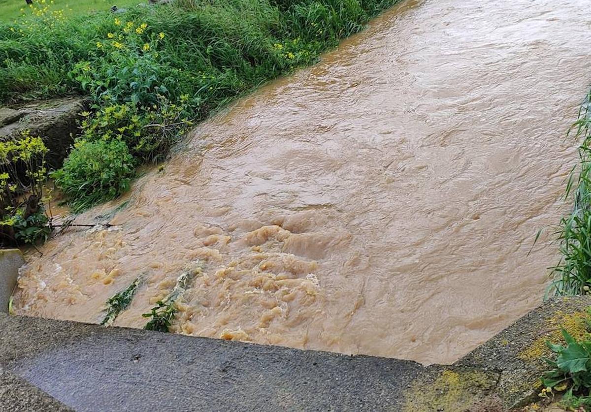 Imagen principal - La charca de Zalamea abre sus compuertas