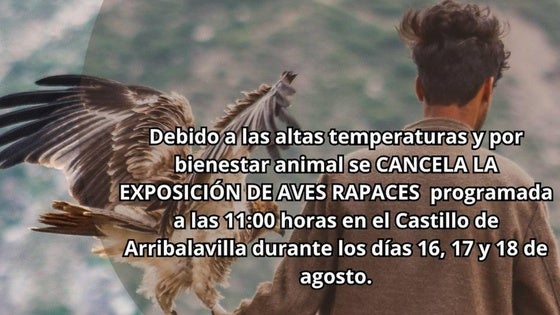Las altas temperaturas obligan a cancelar la exposición de rapaces