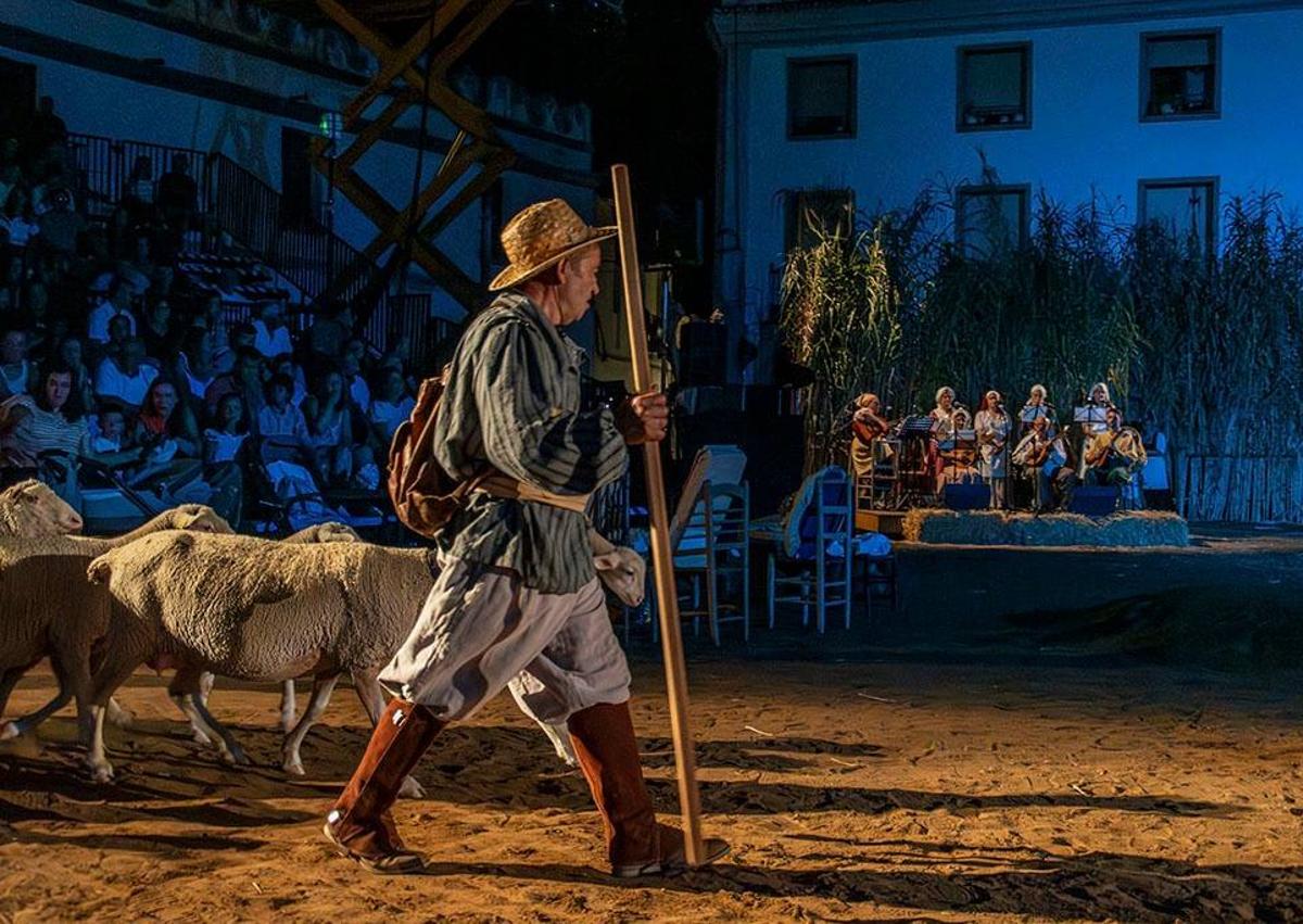 Imagen secundaria 1 - Segundo premio