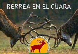 El Club Senserista Arsa-Zalamea organiza una ruta para disfrutar de la berrea