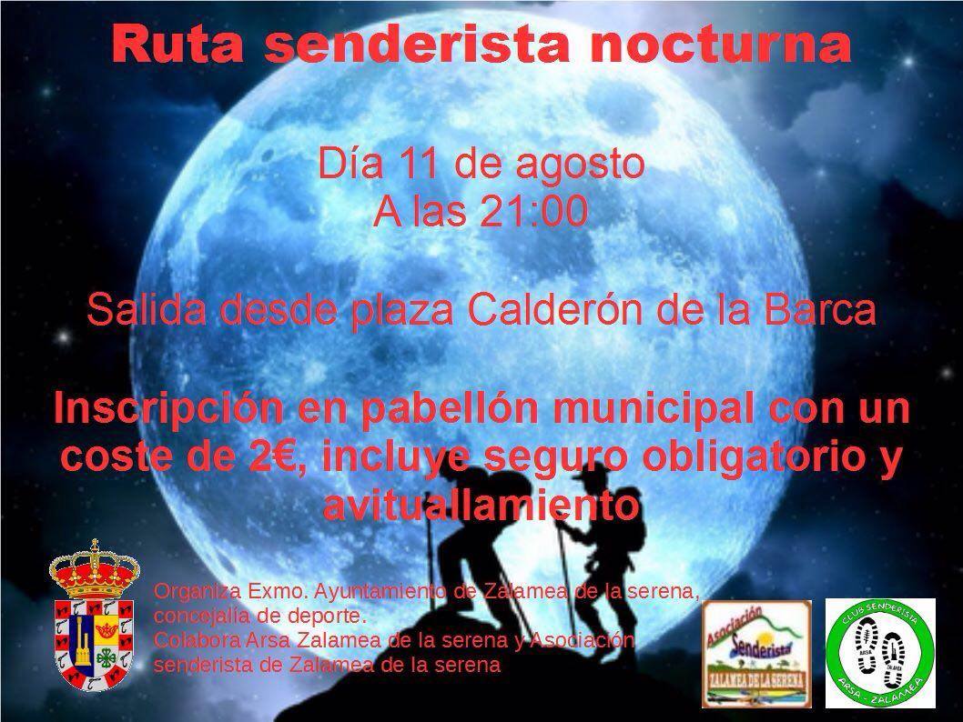 cartel de presentación de la actividad CEDIDA